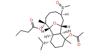 Klysimplexin sulfoxide A